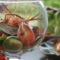 海老マニア必見！SAMBAL SHRIMP ｛サンバル・シュリンプ｝の写真2