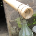 バリ島でお酒と言えばココナッツからできる蒸留酒「アラック」！の写真2