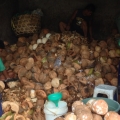 クタマーケットで新鮮な野菜を（夜はナイトマーケット）の写真3